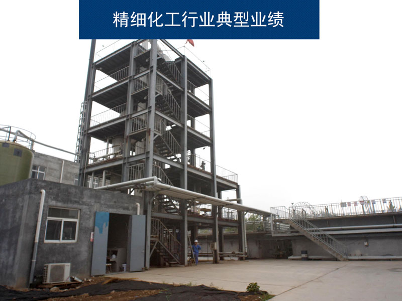 精細化工行業典型業績